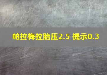 帕拉梅拉胎压2.5 提示0.3